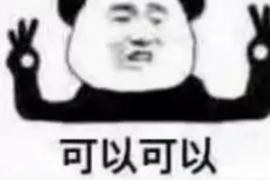 岚山贷款清欠服务